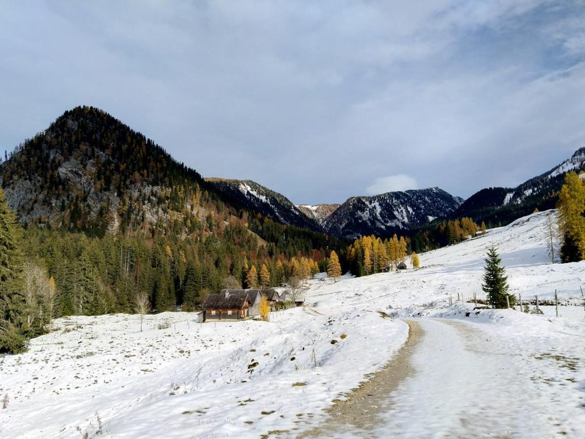 Berglebnis Apartment Tauplitz Luaran gambar