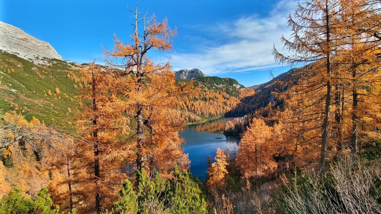 Berglebnis Apartment Tauplitz Luaran gambar